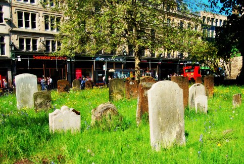 "Cemetary City" by Mary Pierce from her post Jux Mary blogs